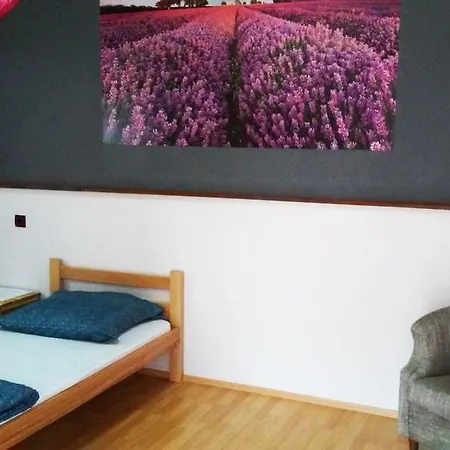 Konak Stara Planina 게스트하우스
